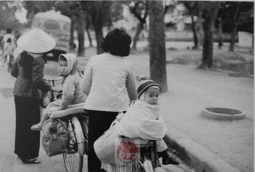 “Mẹ ơi… Mẹ có nghe không?” – tiếng gọi từ miền ký ức